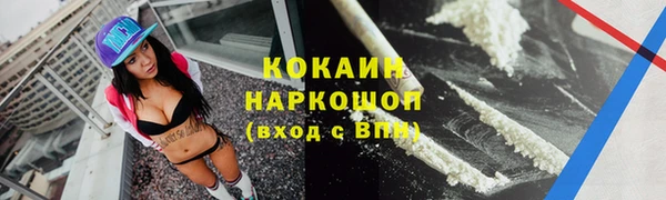 сатива Богданович