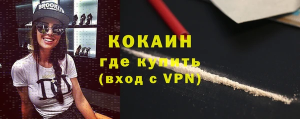 сатива Богданович