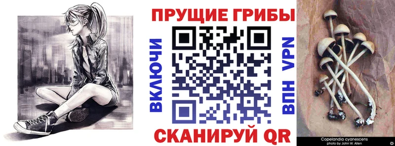 Псилоцибиновые грибы Magic Shrooms  где продают наркотики  Калуга 